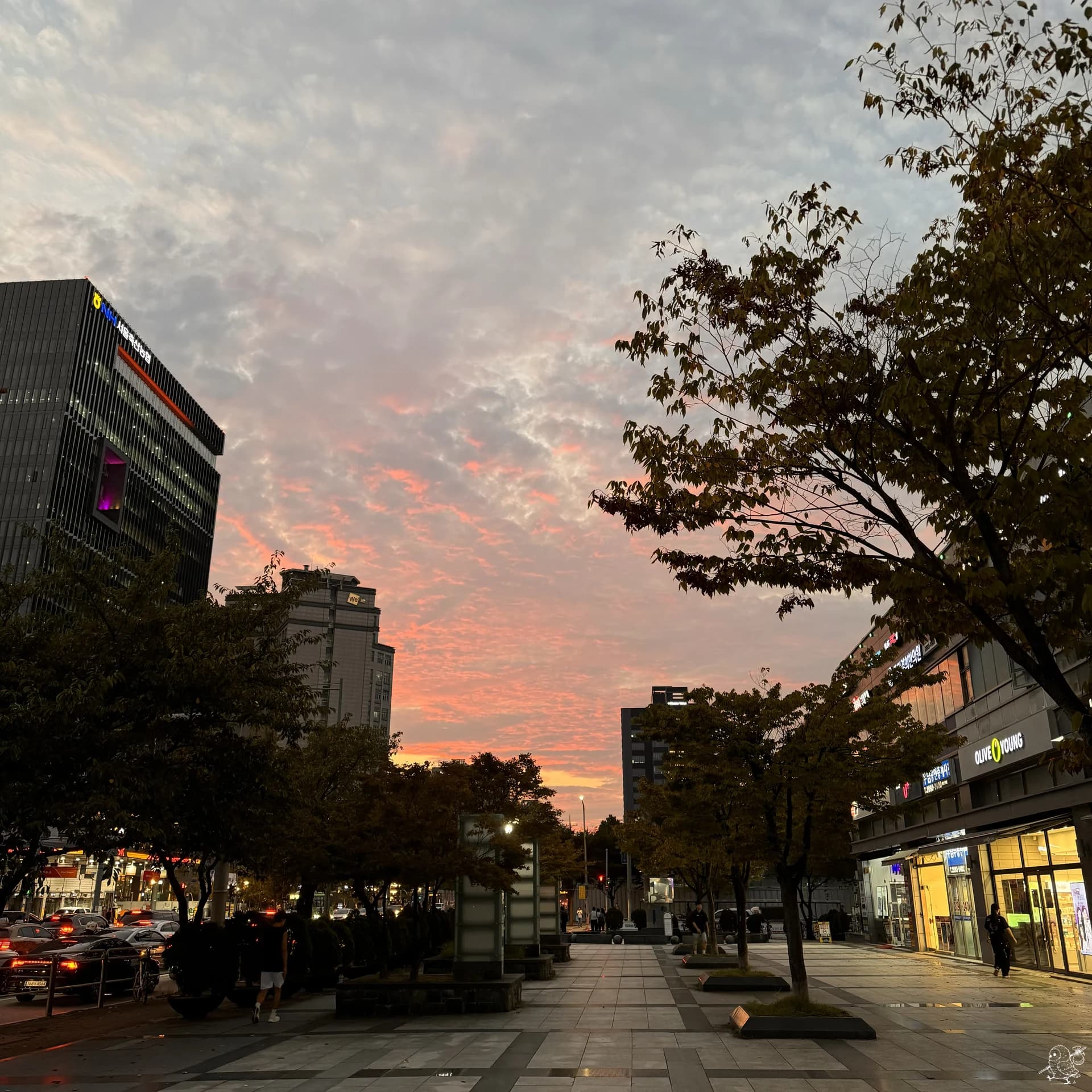 구름에 반사되는 노을빛이 너무나 아름다웠다