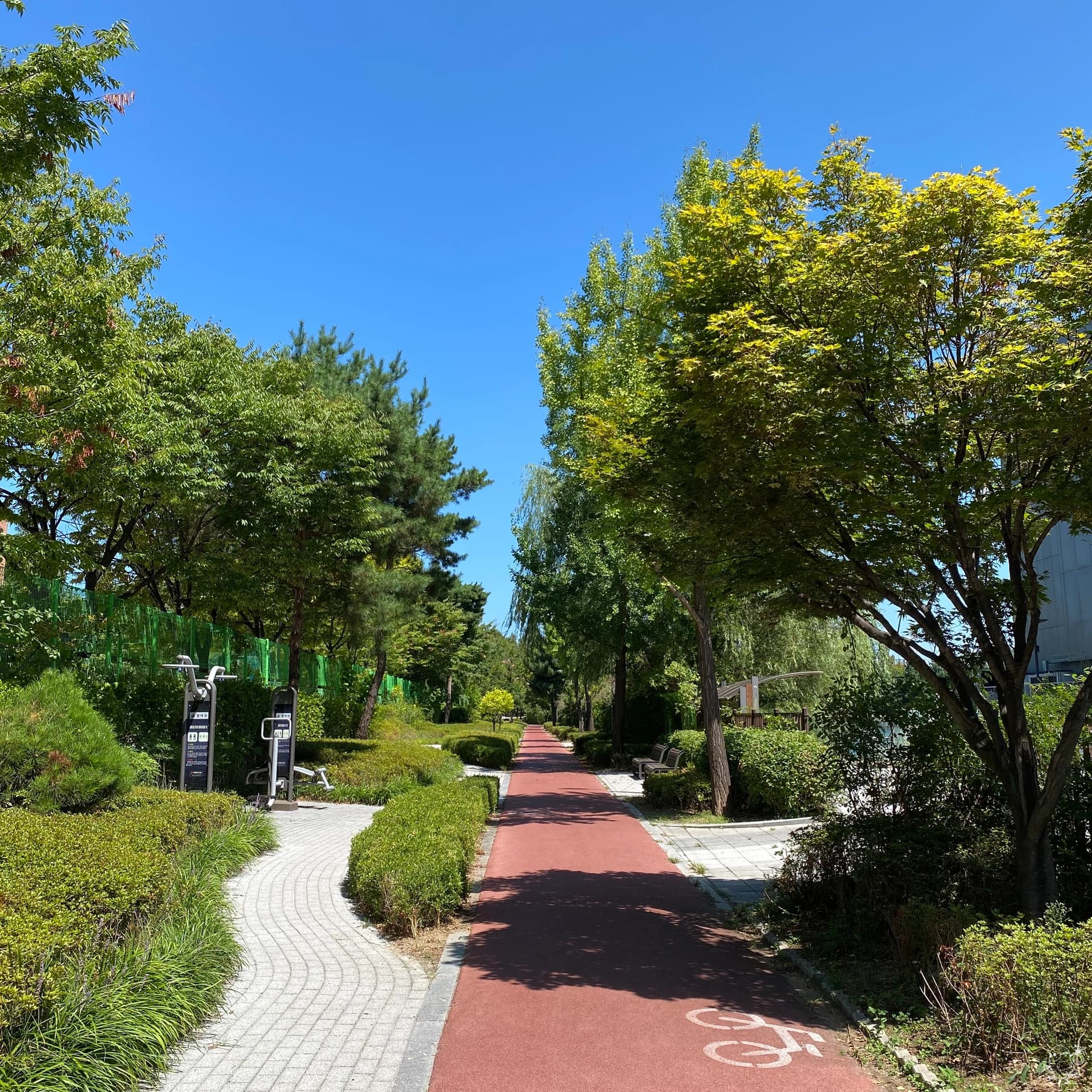 Ces arbres étaient verdoyants et le ciel était d'un bleu limpide sans un seul nuage Ces arbres étaient verdoyants et le ciel était d'un bleu limpide sans un seul nuage